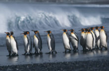 382607_thinkstockphotos 82634019 676x441.jpg