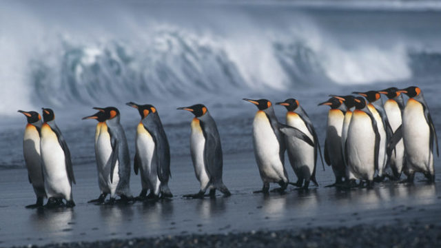 382607_thinkstockphotos 82634019 676x441.jpg