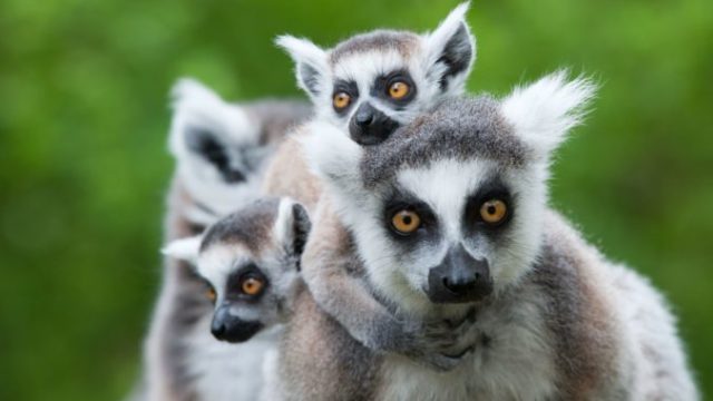 382844_thinkstockphotos 153557001 676x450.jpg