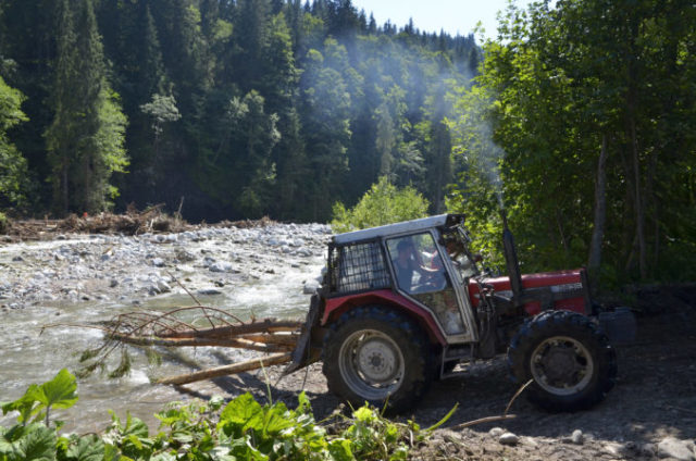 382941_dsc7735 676x448.jpg