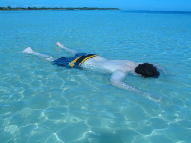 383026_dead  676x507.jpg