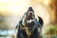 383197_thinkstockphotos 536950195 676x451.jpg