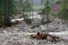 383445_05 676x448.jpg