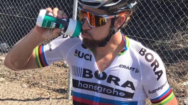 383465_peter_sagan 1 676x627.jpg