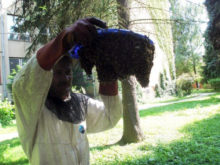 383610_01 1 1.jpg
