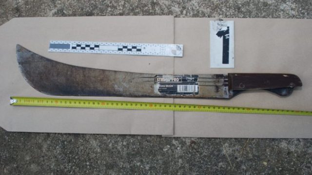 385092_maceta 676x453.jpg