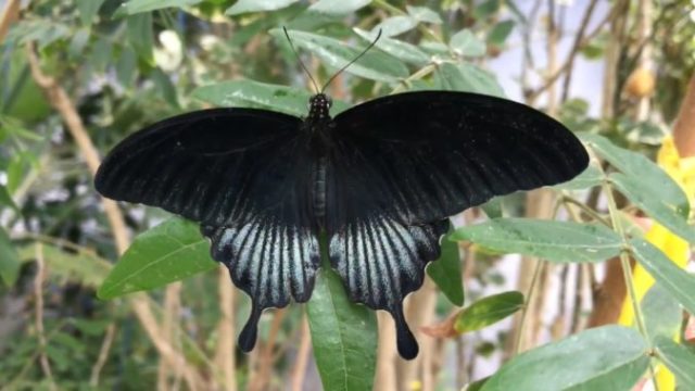 385375_muzeum 676x379.jpg