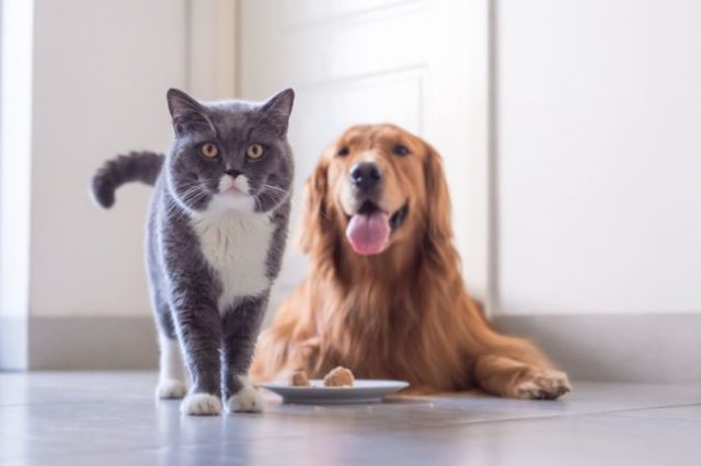 385447_thinkstockphotos 849069504 676x450.jpg