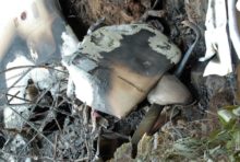 385815_lietadlo nehoda 676x454.jpg