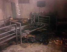 386801_austria_europe_migrants_80227 8d603c7068a744ef800c41b8d306e80d 676x526.jpg