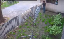 387328_synagoga 676x419.jpg