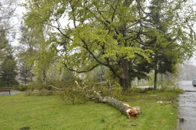 387642_vichrica 676x448.jpg