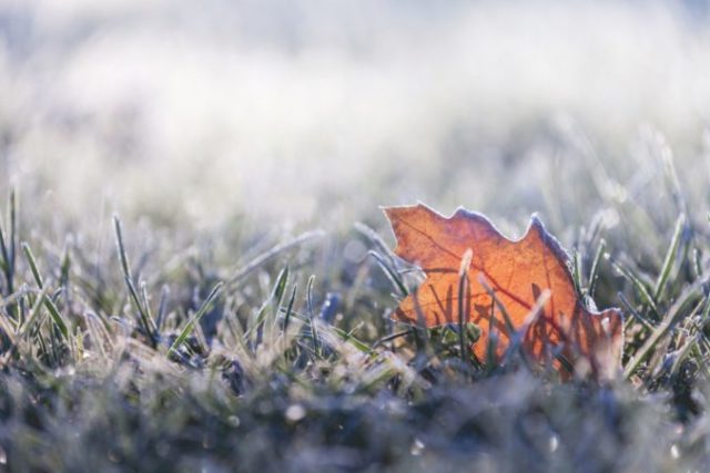 388218_thinkstockphotos 483785638 676x451.jpg