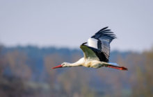388250_thinkstockphotos 924995784 e1538234915612 676x431.jpg