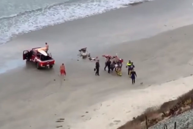 388283_utok zraloka e1538249755786 676x452.jpg