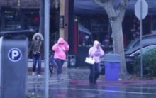 388506_rosa 676x425.jpg