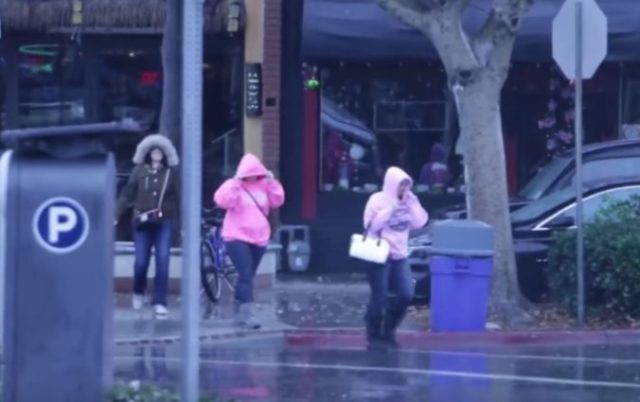 388506_rosa 676x425.jpg