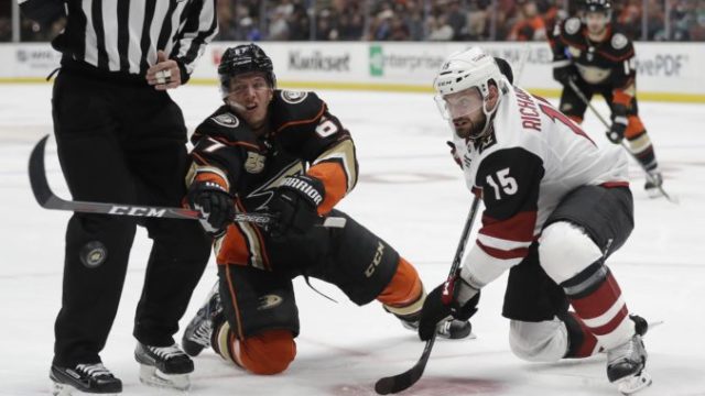389463_coyotes_ducks_hockey_03429 94417d7885204a5cb9fa7ea52462bf0d 676x415.jpg