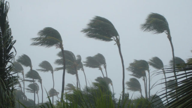 389564_gettyimages 478017728 e1539286133607 676x444.jpg