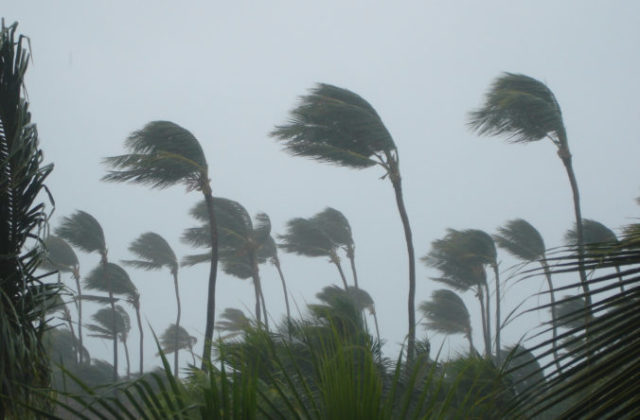 389564_gettyimages 478017728 e1539286133607 676x444.jpg