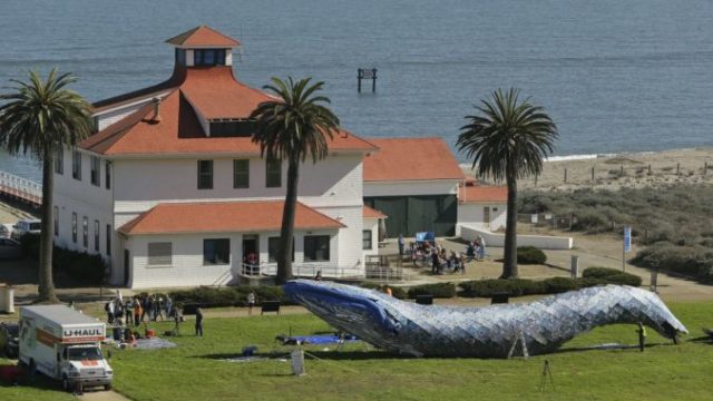 389683_life_sized_whale_sculpture_50825 3e3df2536d2042c5ae8cc13fd62fc266 676x419.jpg