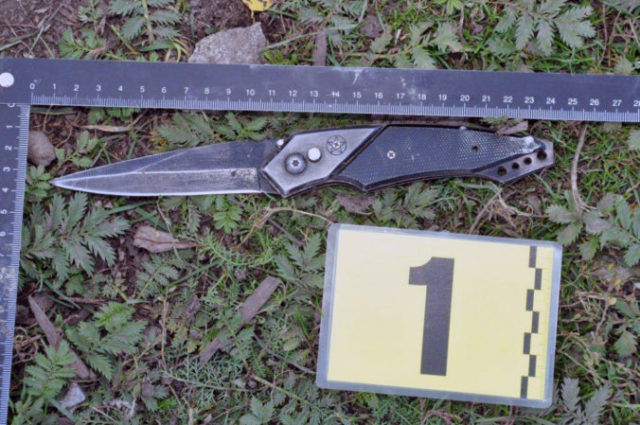 390030_dsc_0005 676x449.jpg