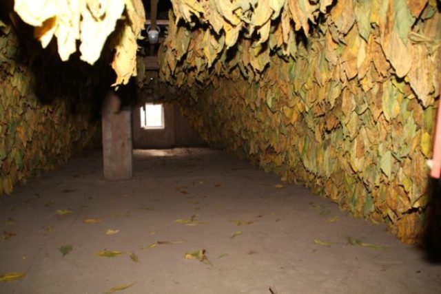 390657_galanta1 676x451.jpg