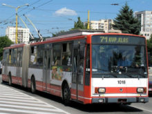 391495_15trm.jpg