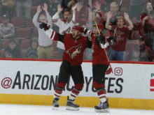 391657_hurricanes_coyotes_hockey_43902 31df6adc522442da813d35228301cfa2 676x508.jpg