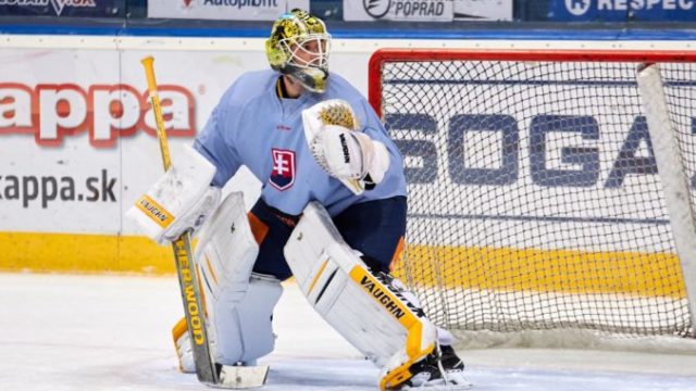 391910_jaroslav janus 676x451.jpg