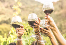 392004_vino 676x463.jpg