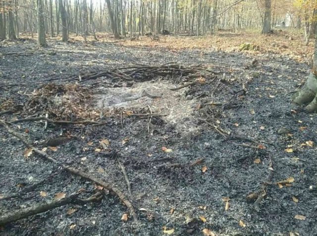 392419_45667879_1499031846878694_8507942480908386304_n 676x503.jpg