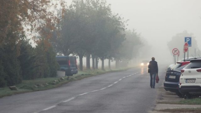 392542_img_6026 676x451.jpg