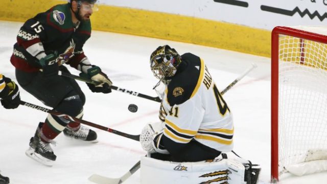 393355_bruins_coyotes_hockey_53404 31fe09e48121444c8e142d651fe68fdc 676x476.jpg