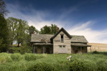 394352_farma 676x449.jpg