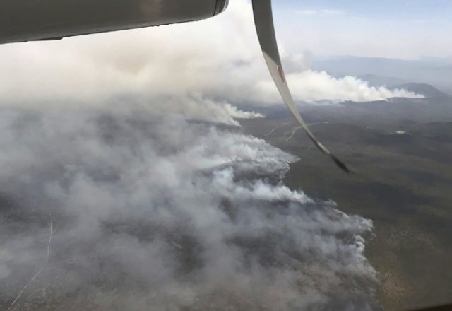 394593_australia 1 676x465.jpg