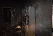 394762_svinica 1 676x451.jpg