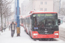 395225_trolejbus 676x451.jpg