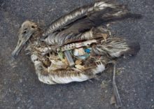 396254_foto eatgreen 676x480.jpg