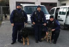 397540_mestska policia bratislava 676x468.jpg
