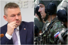 398032_pelle_voj.jpg