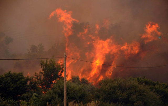 398076_greece_wildfire 492aceca39ef4485a3ea14df6d2765ee 676x425.jpeg