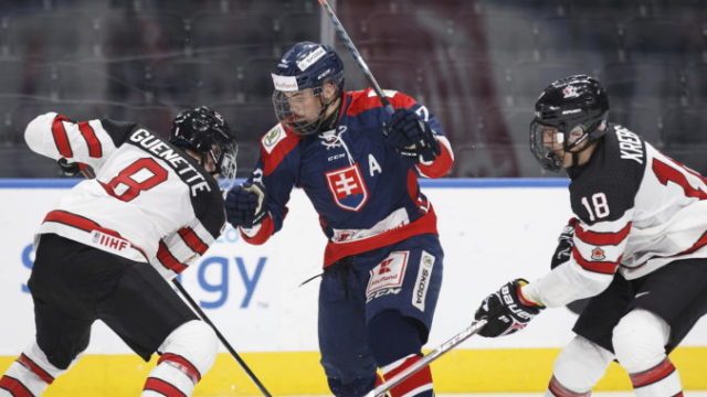 398372_hlinka_gretzky_cup_hockey_08439 df88eb73ed8b49e9a66c8d4bce31b407 e1546716363467 676x458.jpg