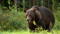 398663_gettyimages 874031994 676x474.jpg