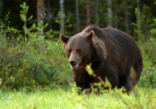 398663_gettyimages 874031994 676x474.jpg