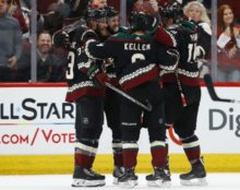 398941_arizona coyotes 676x534.jpg