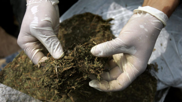 398975_marihuana 676x451.jpg