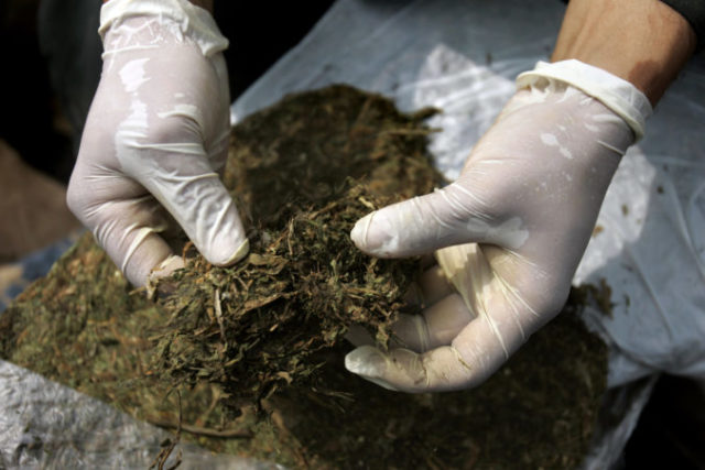 398975_marihuana 676x451.jpg