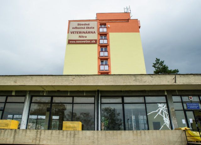 400640_nitra 1 676x488.jpg