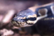 400651_gettyimages 868604428 676x448.jpg